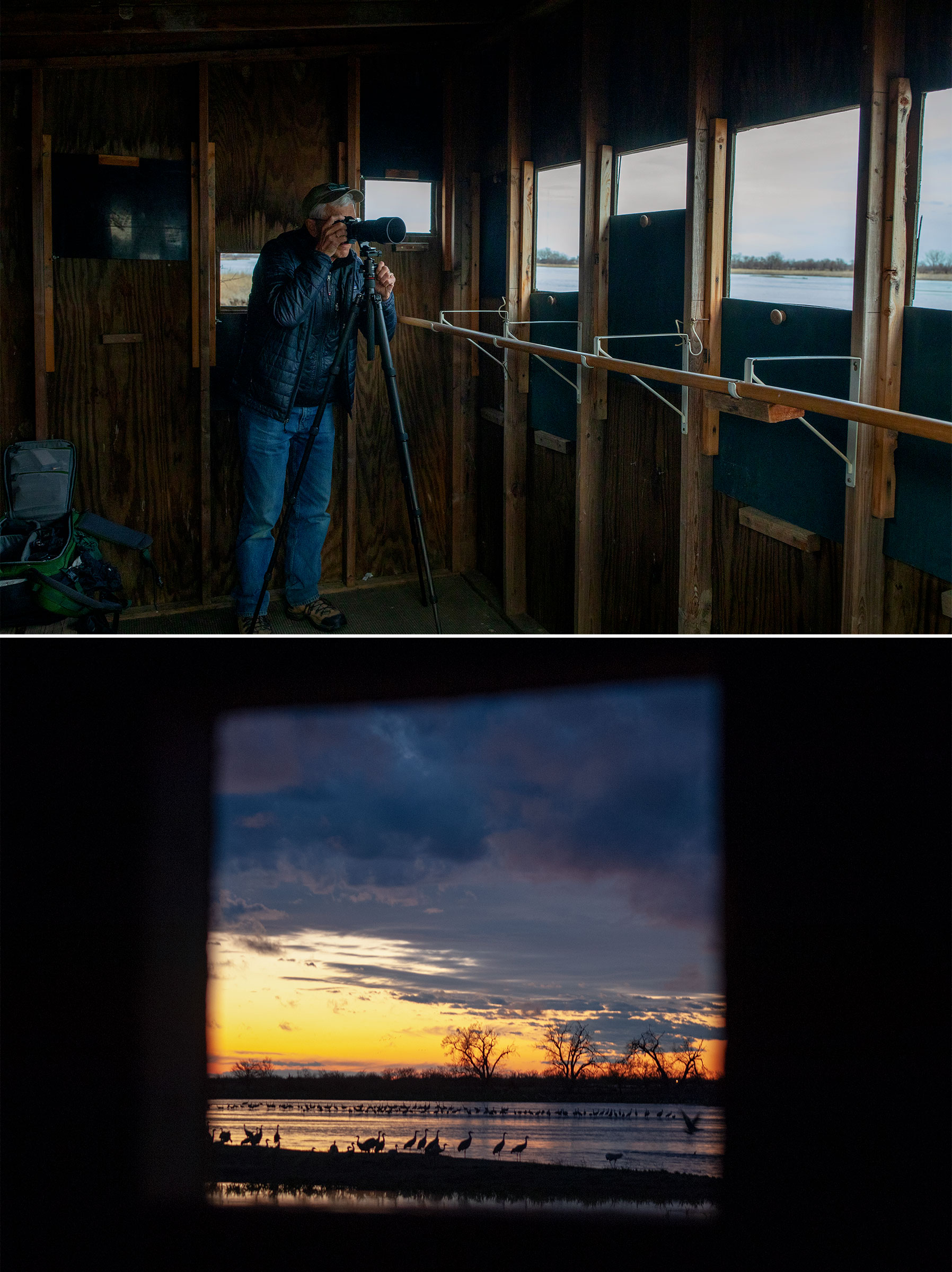 From top: Inside a blind at Rowe Sanctuary. Photo: Mike Fernandez/Audubon; Sandhill Cranes seen through a window of the blind. Photo: Joel Sartore
