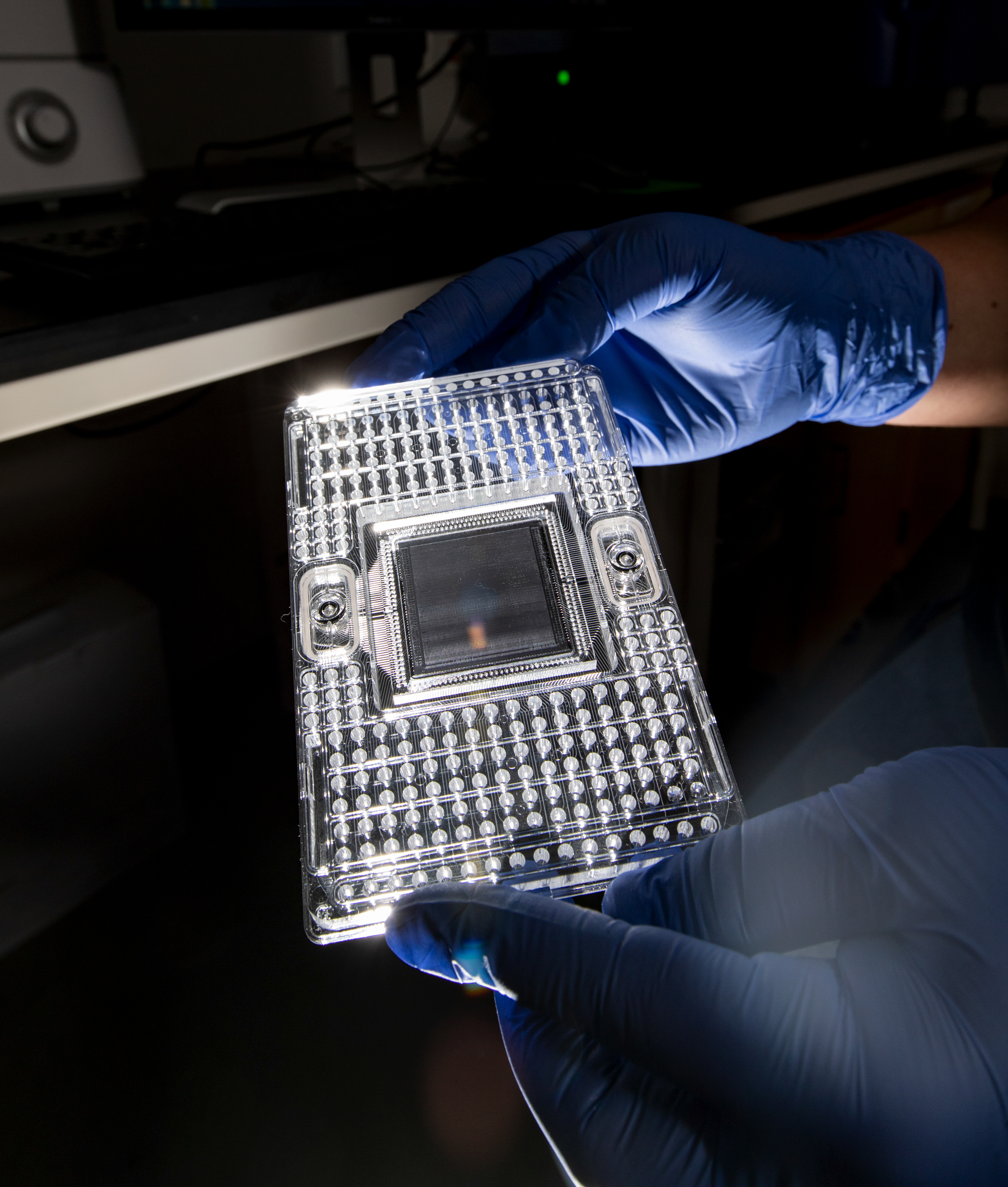 A researcher’s gloved hands hold a clear plastic plate containing samples of genetic material.