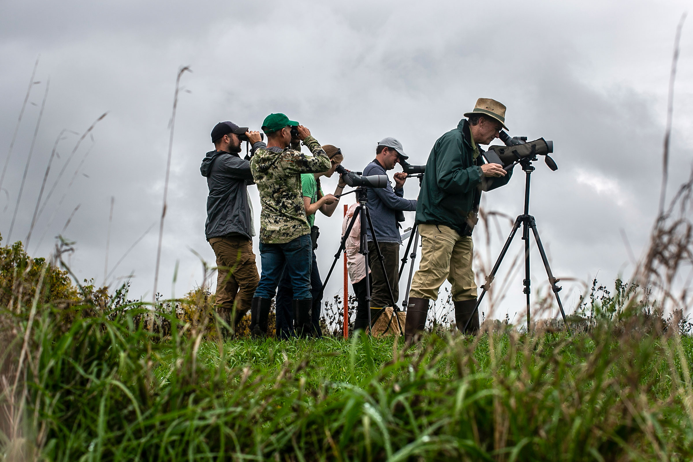 Five birders stand silhouetted on a field of tall green grass against a silver-gray sky to monitor birds in restored habitat in the Oneida Nation. Three on the left side of the frame hold binoculars, and two on the right side of the frame have scoping tools set up on tripods.