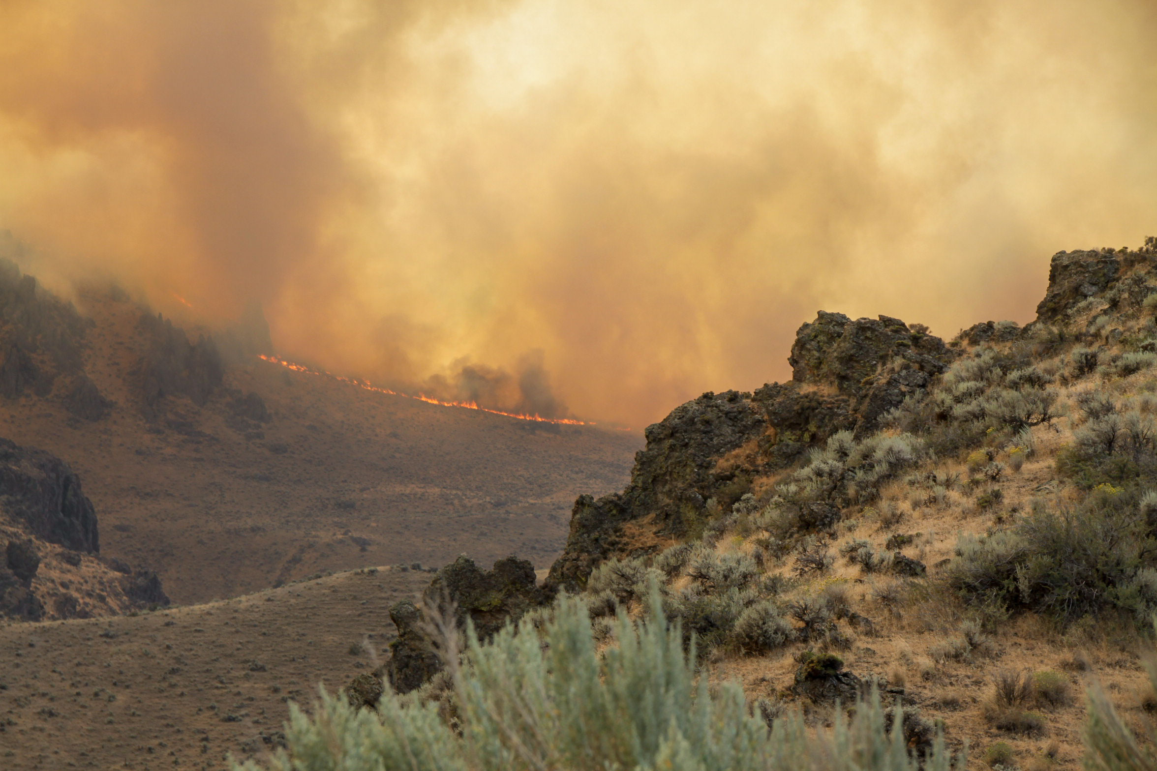The 2015 Soda Fire burned nearly 280,000 acres in southwest Idaho and southeast Oregon, including nearly 200,000 acres of Greater Sage-Grouse habitat. BLM