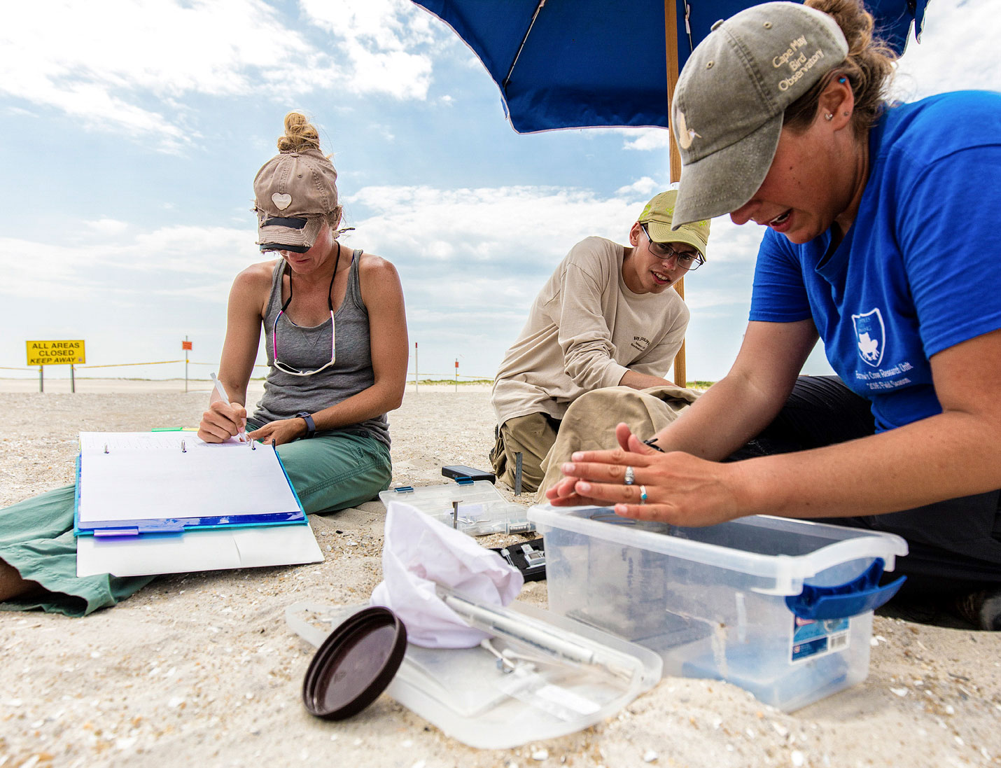 Michelle Stantial and team recording bird data the old-fashioned way. Jim Verhagen