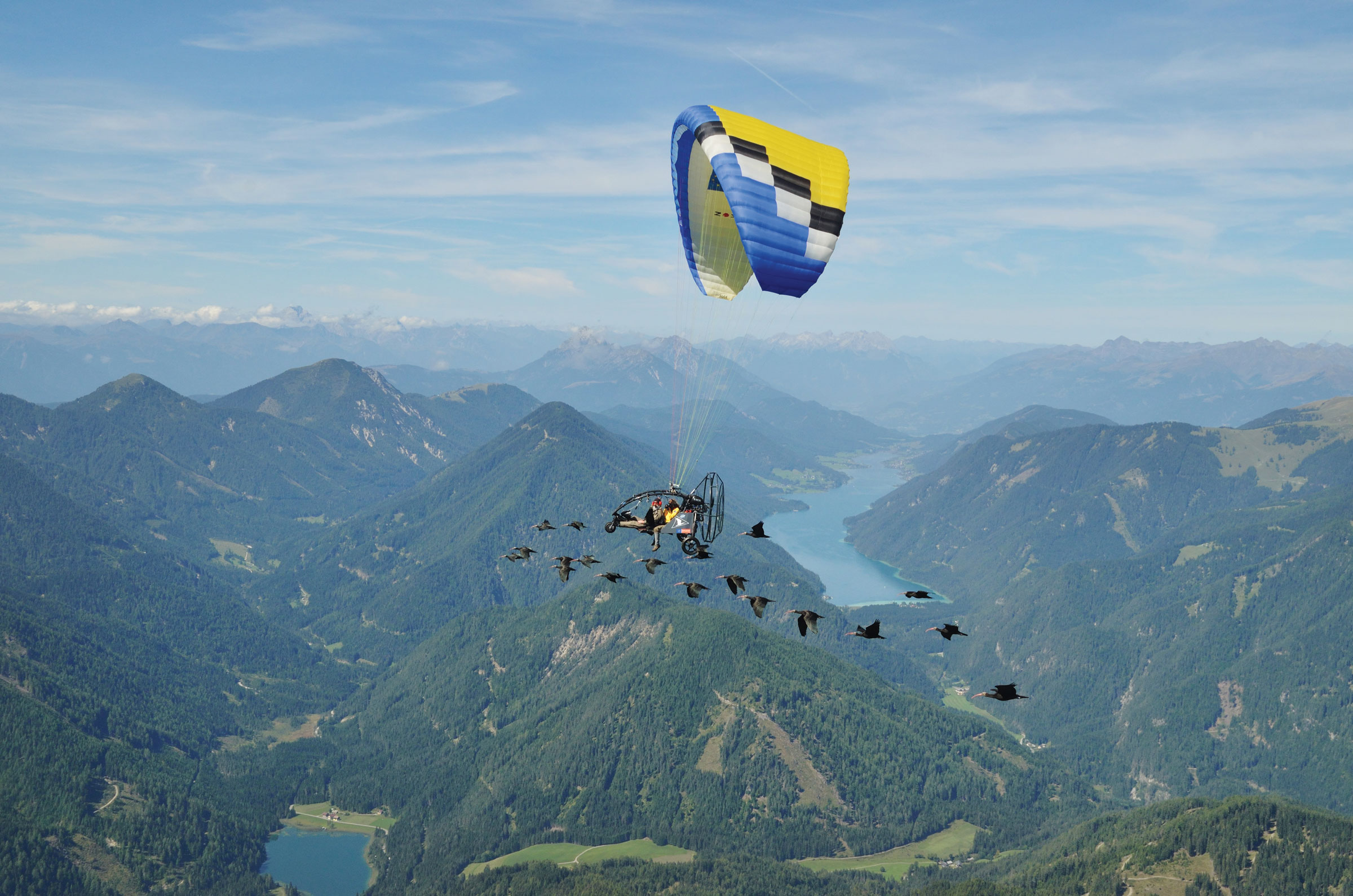 Schmalstieg and pilot Walter Holzmüller guide some of the 2015 brood to Italy for the winter in one of the two aircraft used to lead the birds. Pablo Przesang