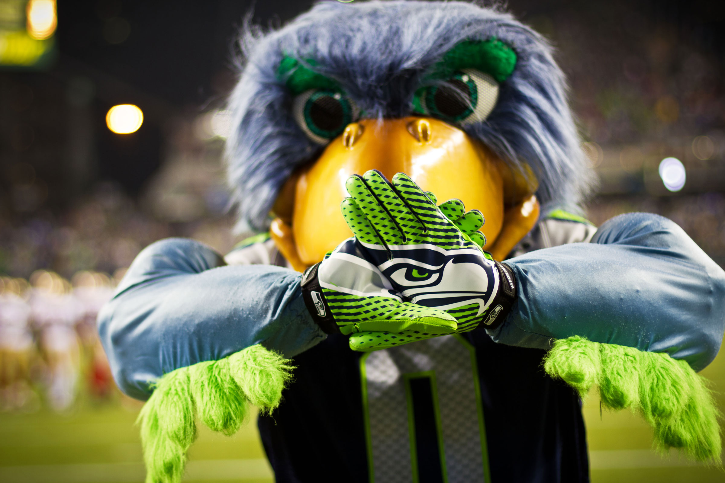 What Is a Seahawk, Anyway? Audubon