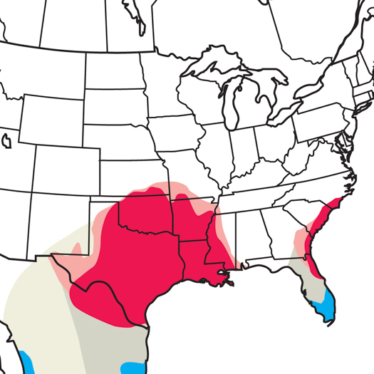 Went and found the Painted Bunting at Rock Creek State Park, thanks for