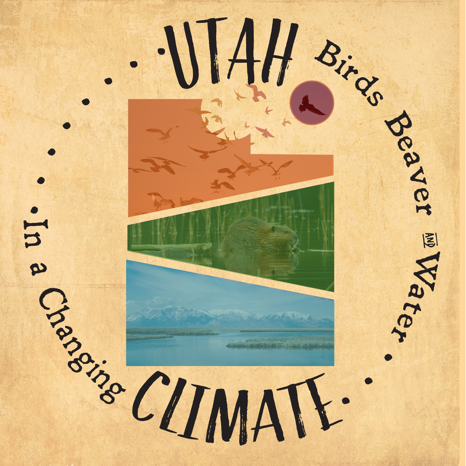 Utah Birds, Beaver, and Water in a Changing Climate logo Utah Birds, Beaver, and Water in a Changing Climate logo