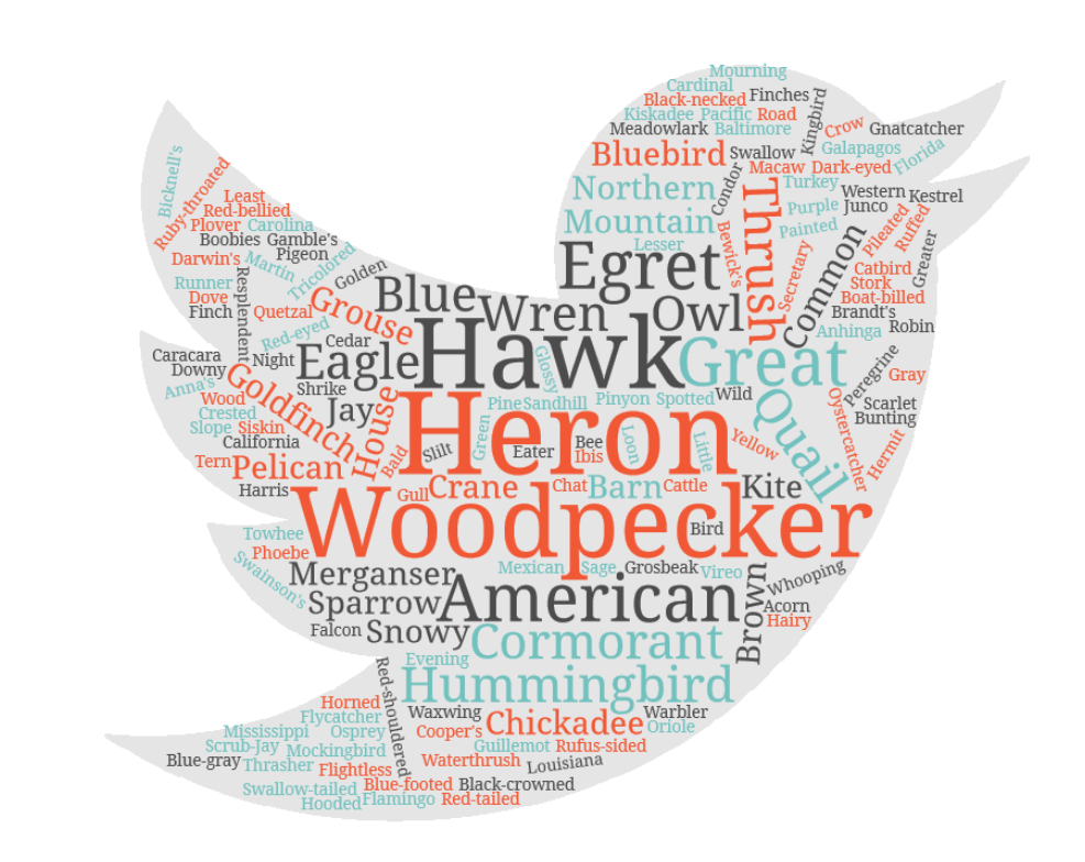 Bird Word Cloud Bird Word Cloud