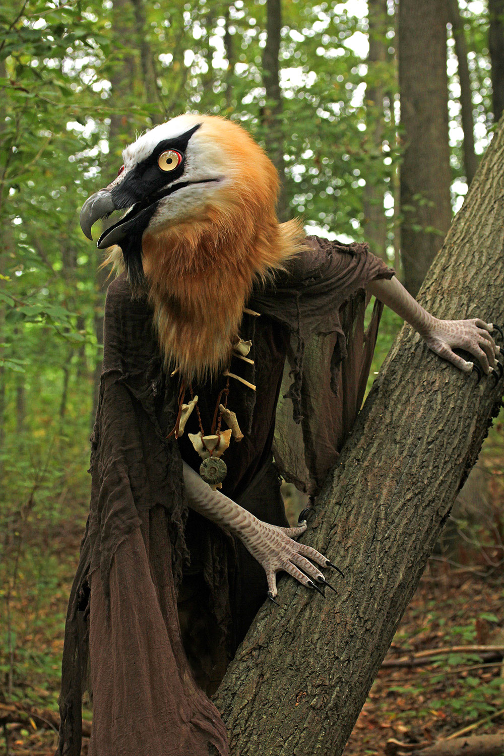 "Kleiveer" Bearded Vulture costume by Jennifer Miller. Brian Carpenter