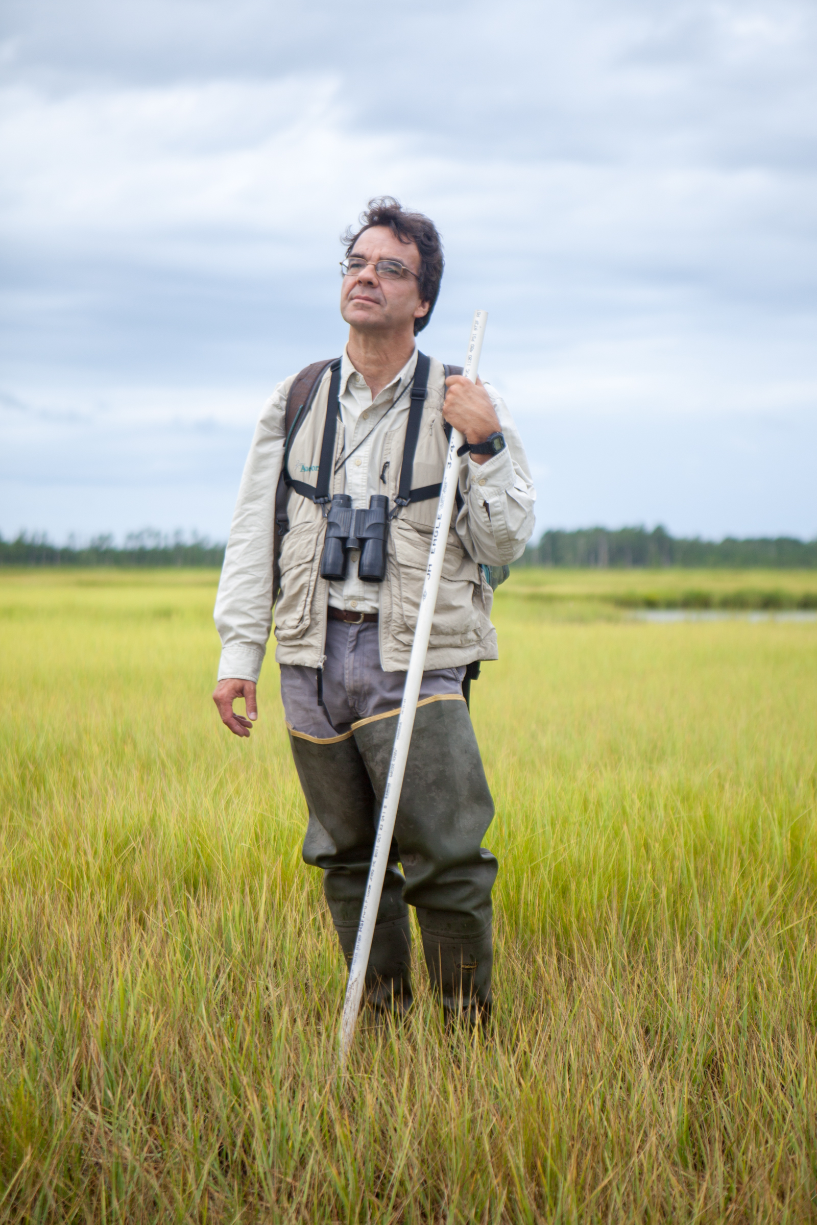 Dave Curson, Audubon Maryland-DC's director of bird conservation, stands at Blackwater National Wildlife Refuge. He carries a stick so he can extract himself when he falls into deep muddy holes. Camilla Cerea/Audubon