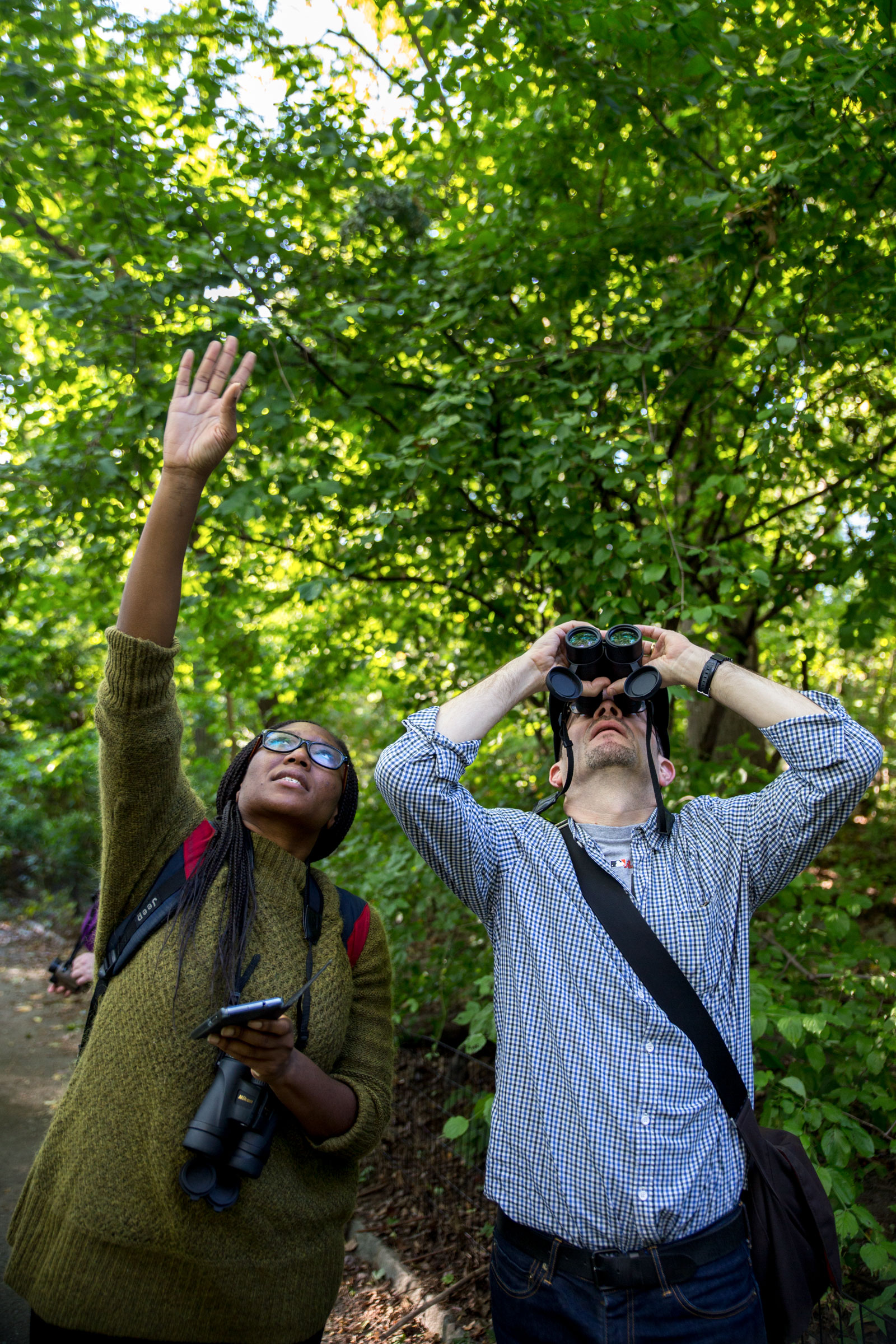Central Park is often chock-full of birders; you're free to join them in searching for birds, or ignore them entirely. Camilla Cerea/Audubon