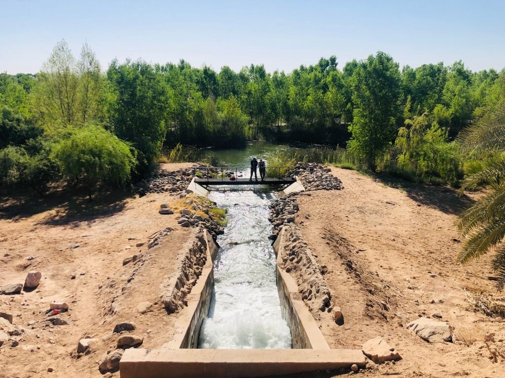 Reconectar el río Colorado al mar | Audubon