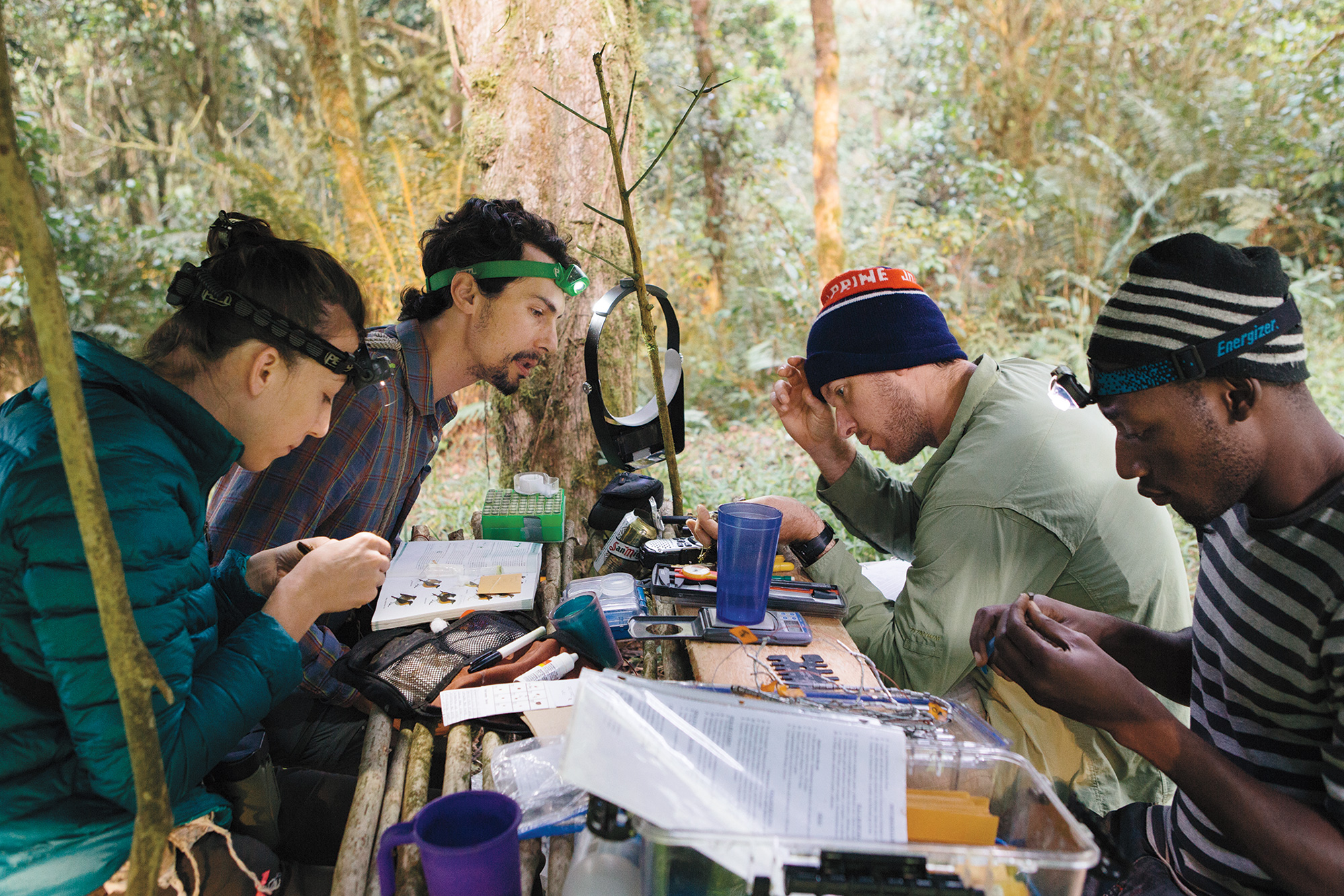 From left: Kristin Brzeski, Luke Powell, Jared Wolfe, and Amancio Motove Etingüe band birds and record biological information at North Camp, deep in the caldera. Tristan Spinski