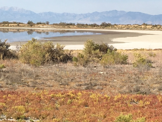 Gillmor Sanctuary Unit 1 Looking Northeast Summer 2018 Gillmor Sanctuary Unit 1 Looking Northeast Summer 2018