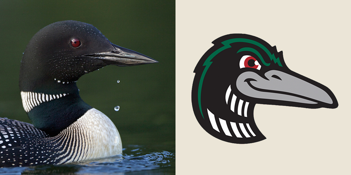 Left: Common Loon. Mark Williams/Audubon Photography Awards. Right: Great Lakes Loons logo