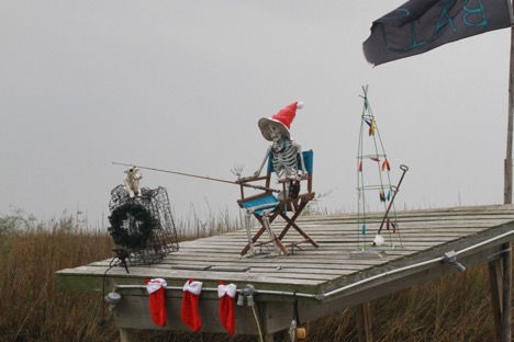 Texas Christmas Bird Count, Matagorda County.