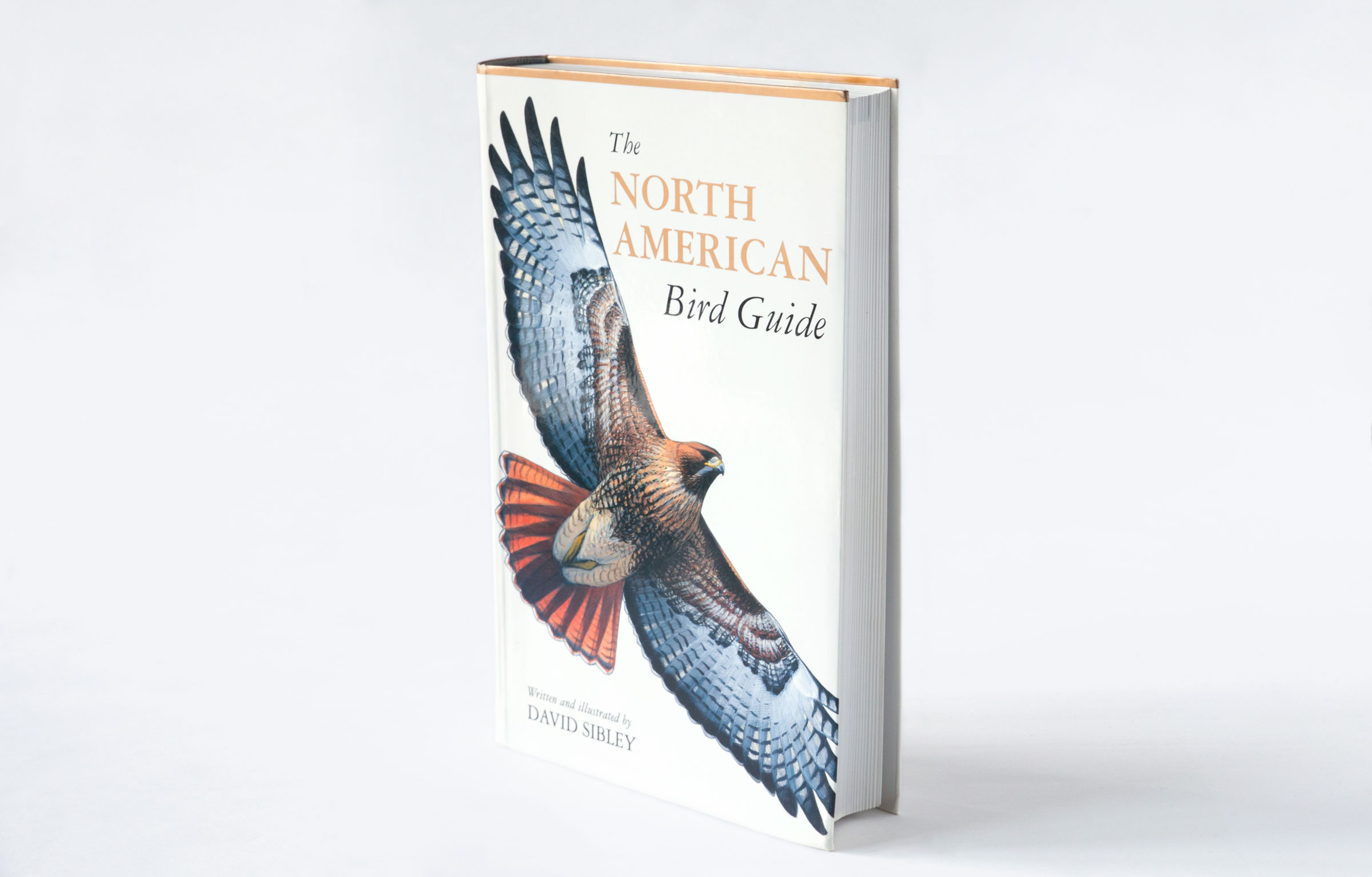 Sibley Field Guides Audubon 