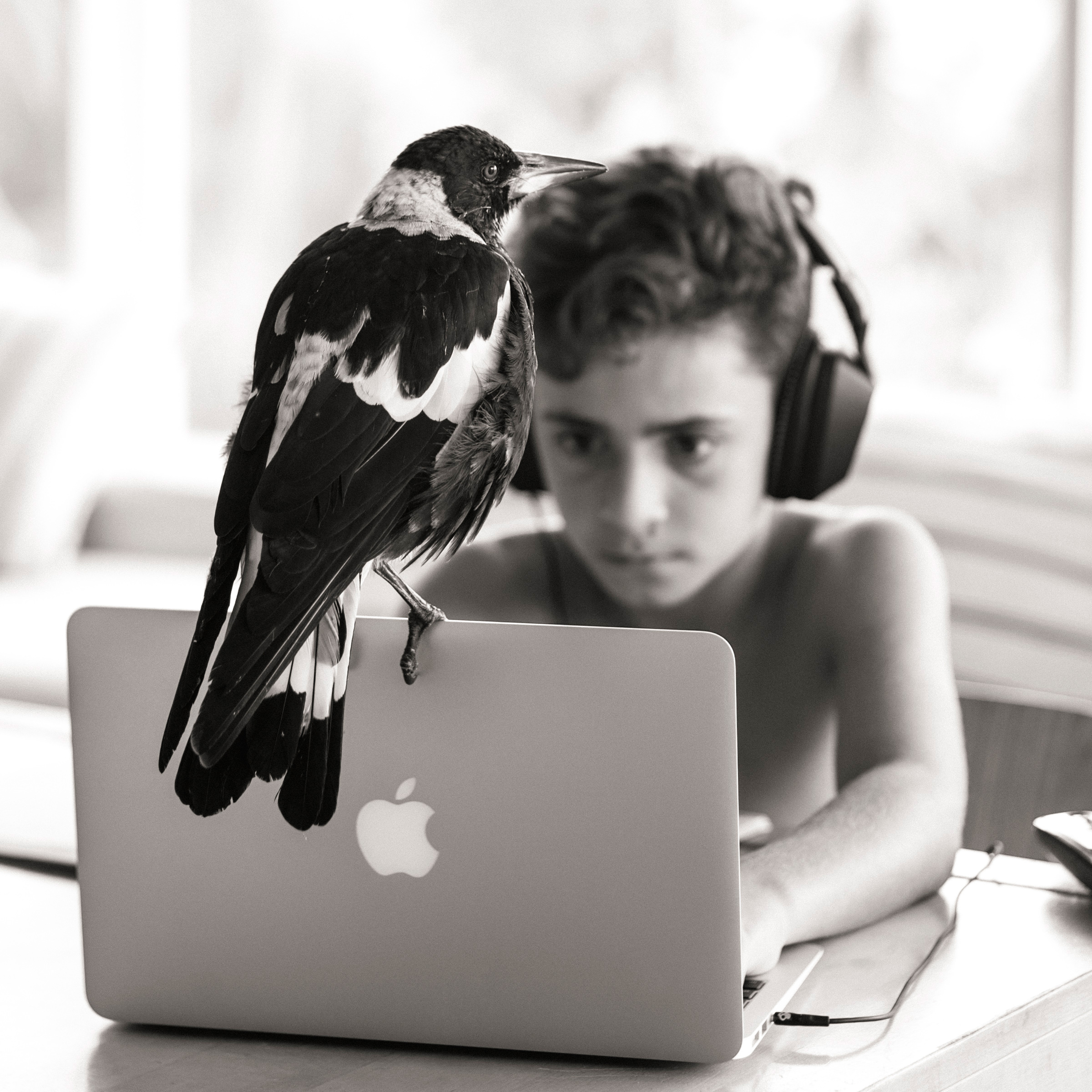 Homework. Cameron Bloom