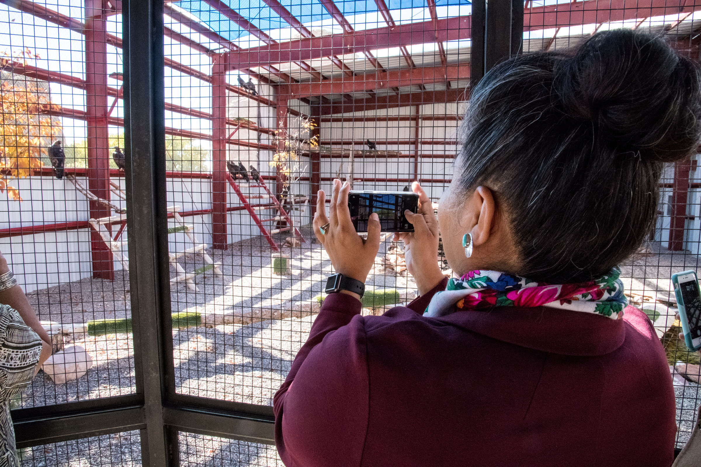 Tiffany Shaw photographs Iron Heart, a Golden Eagle named after her father. The bird was brought to the Navajo Nation aviary after being found shot and stripped of its tail feathers. Dawn Kish