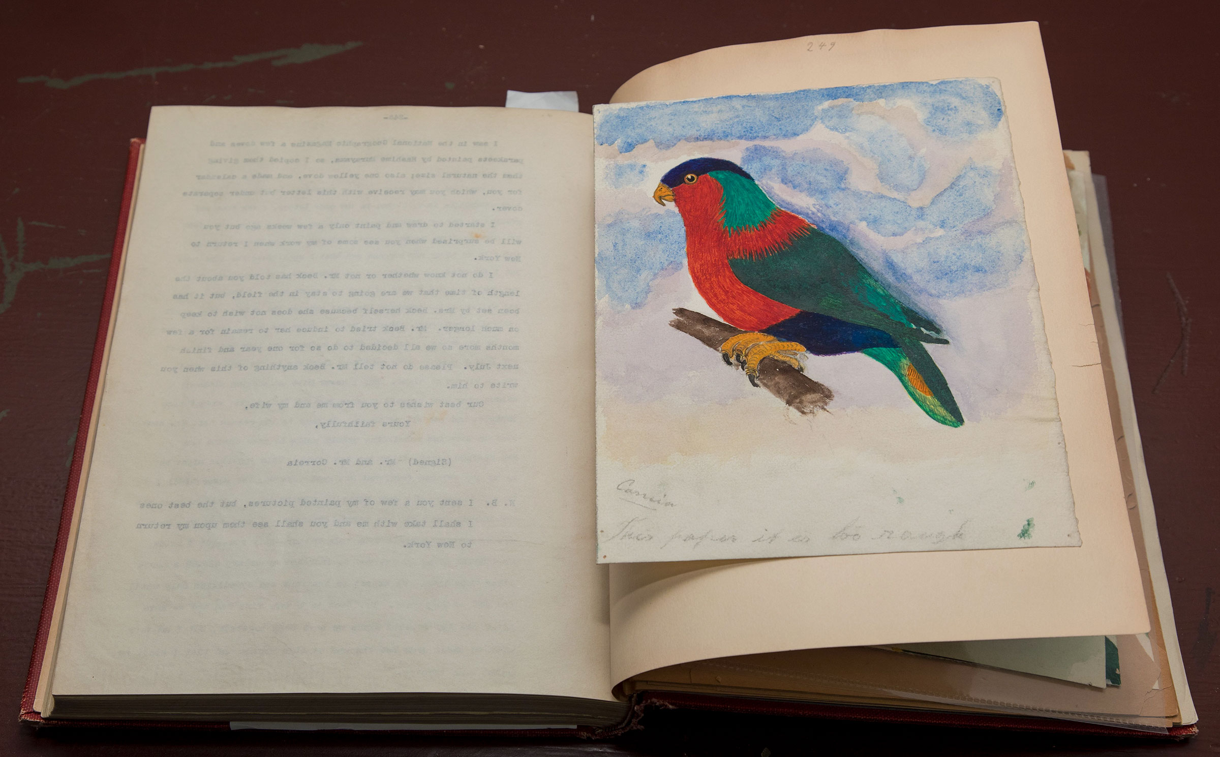 Page from ornithologist José Correia’s personal journal. M. Shanley/AMNH