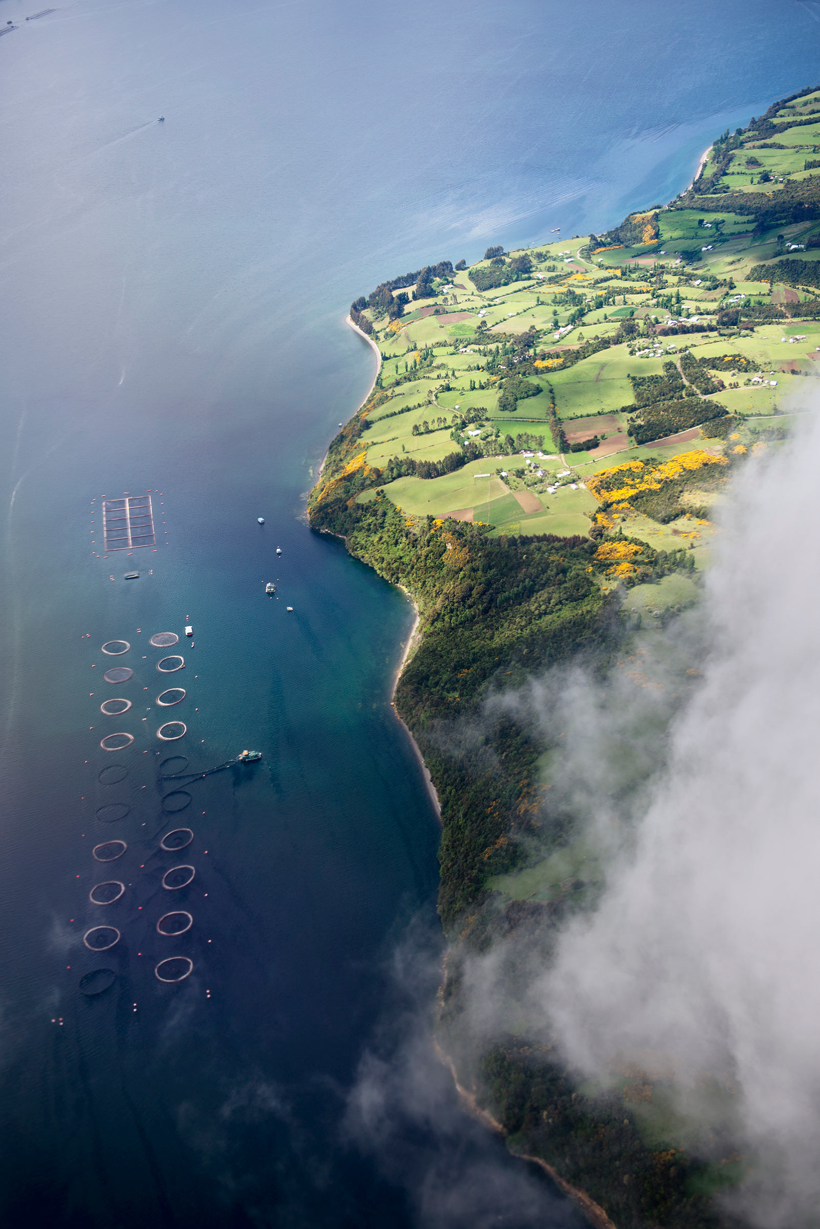 Salmon farms line the Gulf of Ancud coast. A recent report documents that Chile's salmon farms use an astounding 120,000 times as much antibiotic per ton of salmon produced as Norwegian farms do. Chris Linder/iLCP