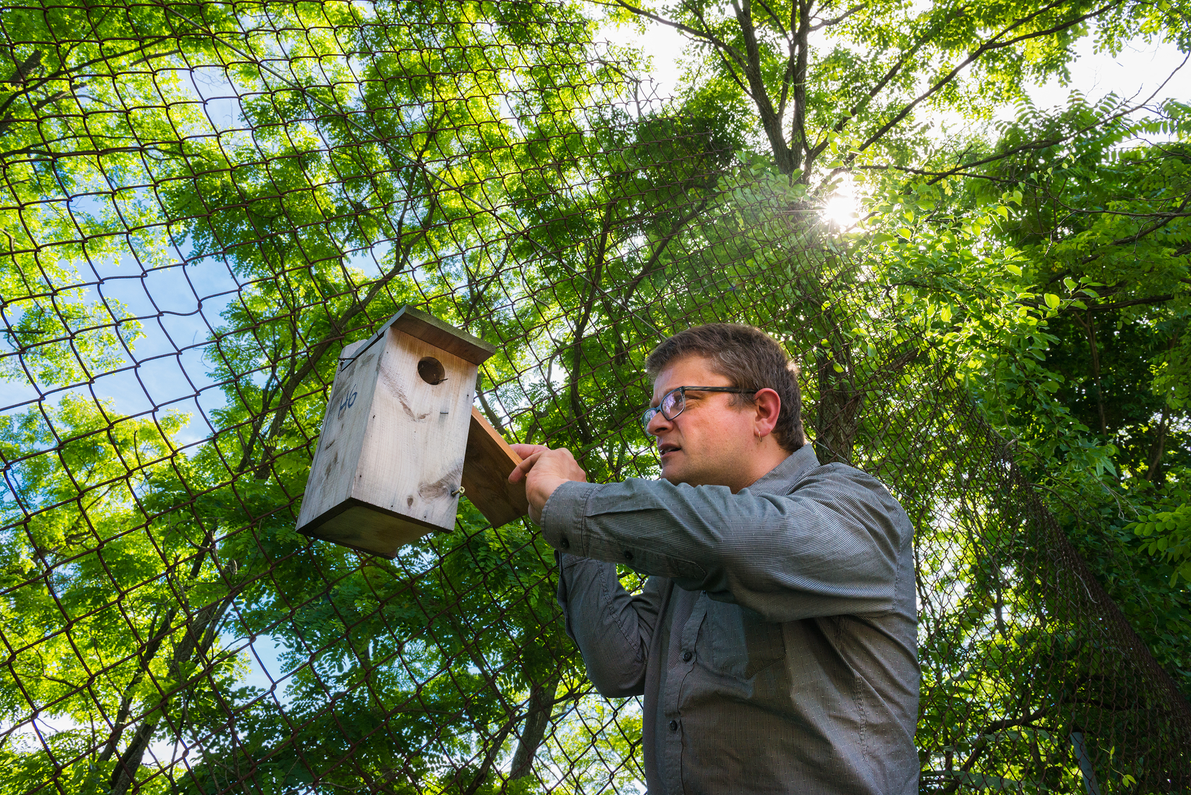 Mark Hauber uses a drill to to open a nest box in FreshKills. He will check the status of eggs and nestlings with a dental mirror or his iPhone. Diane Cook and Len Jenshel