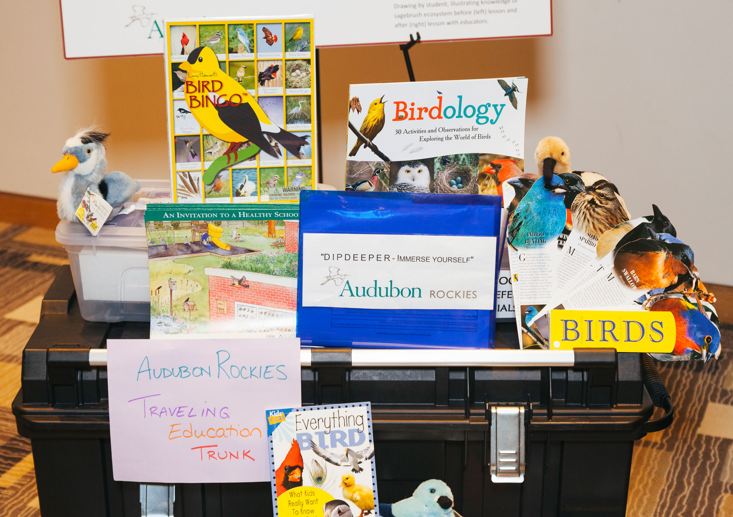 A display of some of the activies from Audubon Rockies' Birds and Climate Educational Traveling Trunk. Morgan Rachel Levy