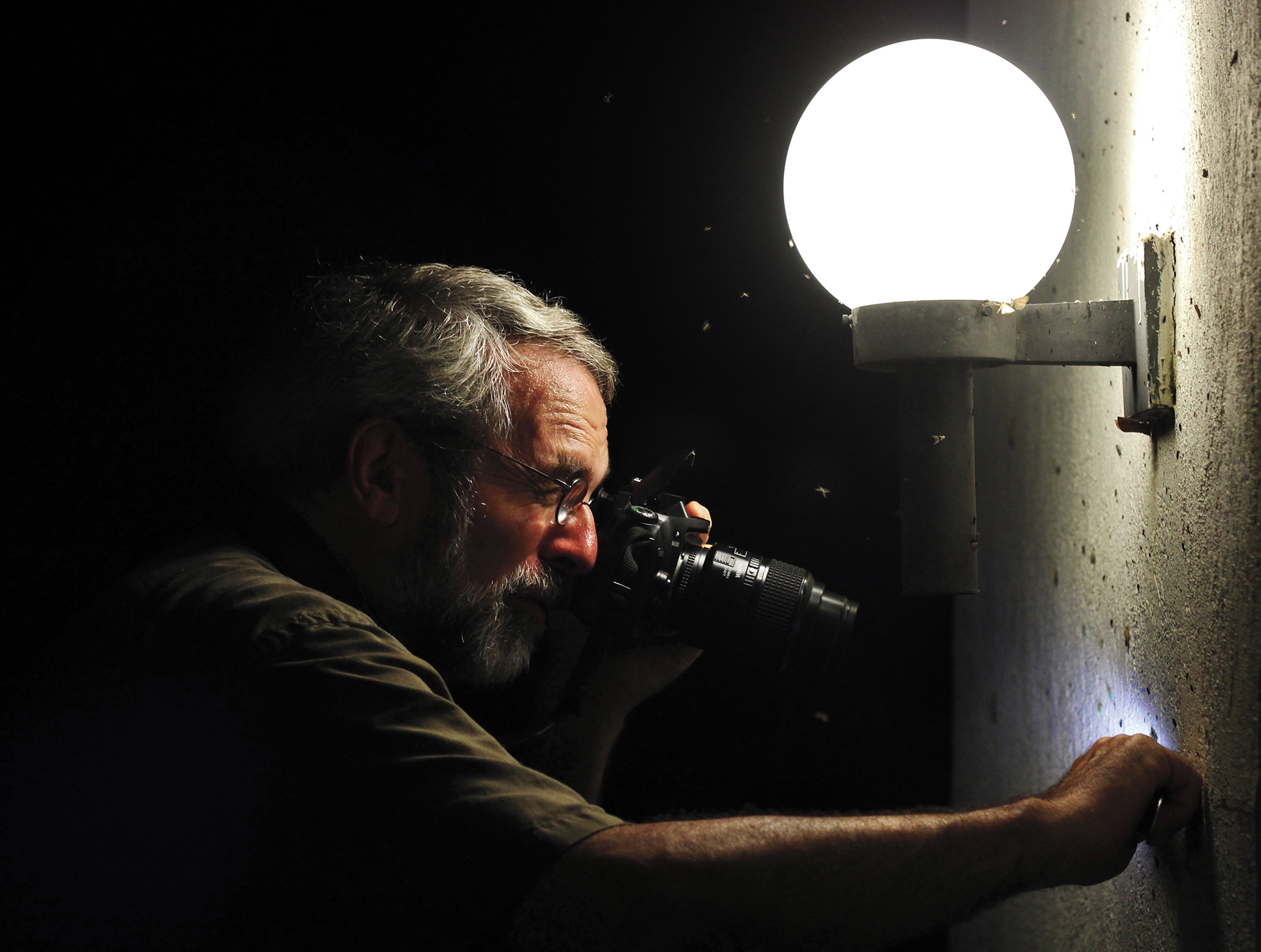 University of Georgia ecologist John Pickering documents moths drawn to a white wall at the Sandy Creek Nature Center in Athens, Georgia. Raney Gregg