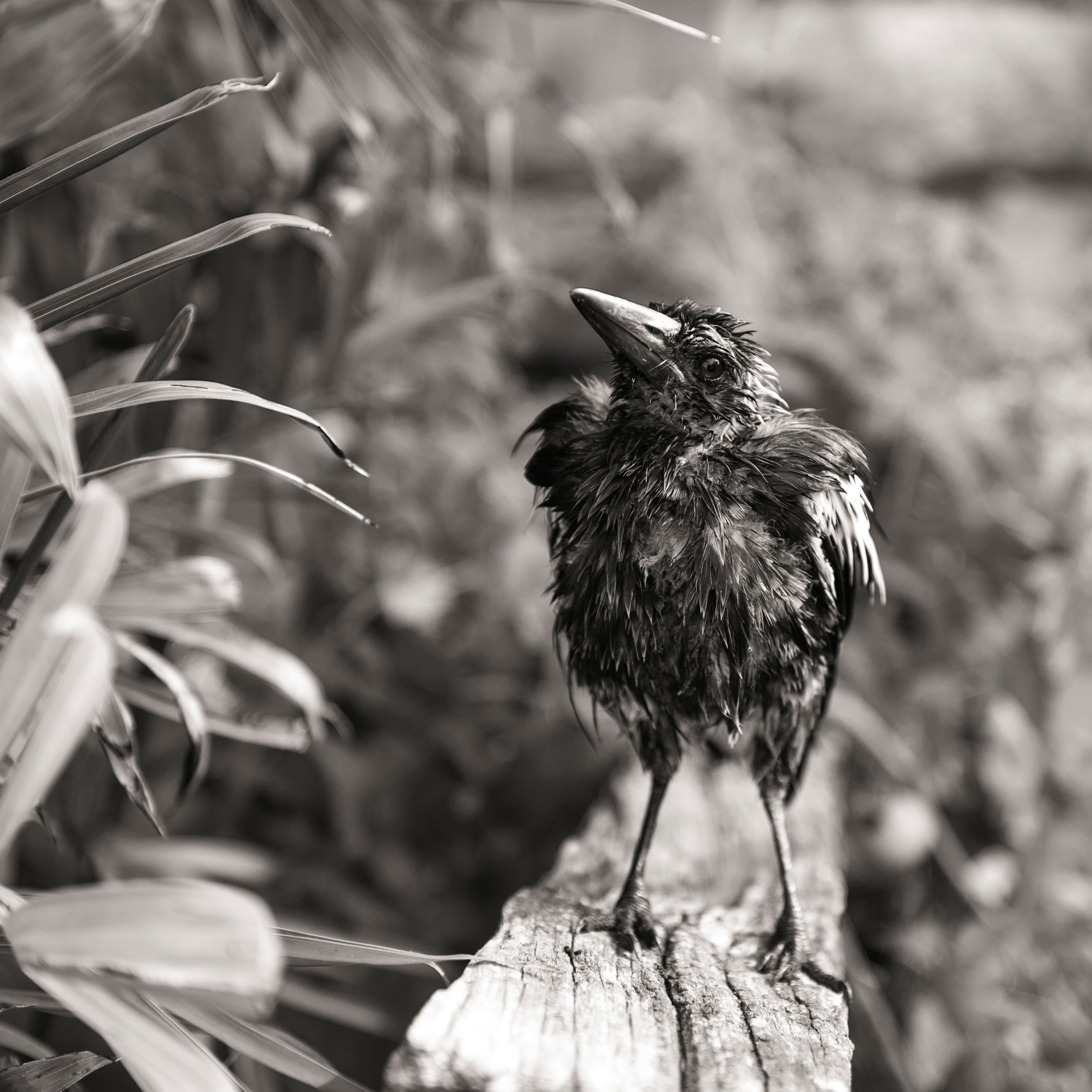 After my shower. Cameron Bloom