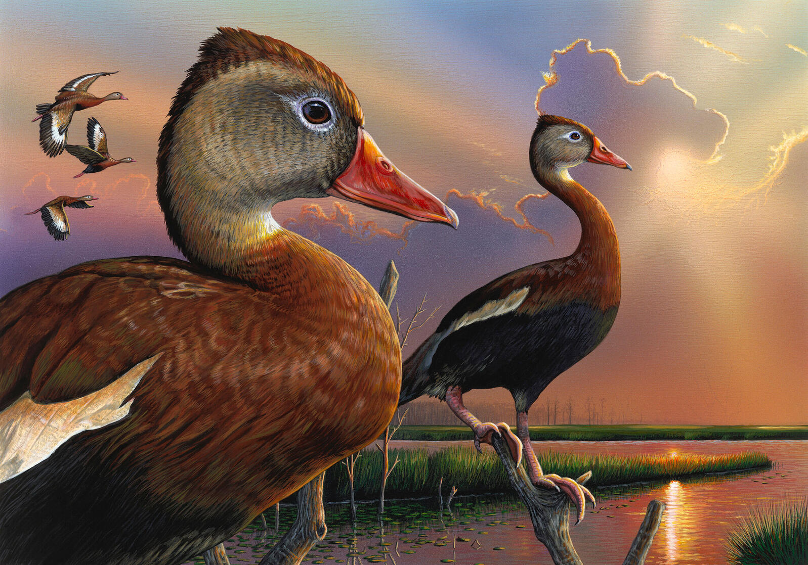 ultimate duck hunting free download full version ultimate duck hunting free download full version