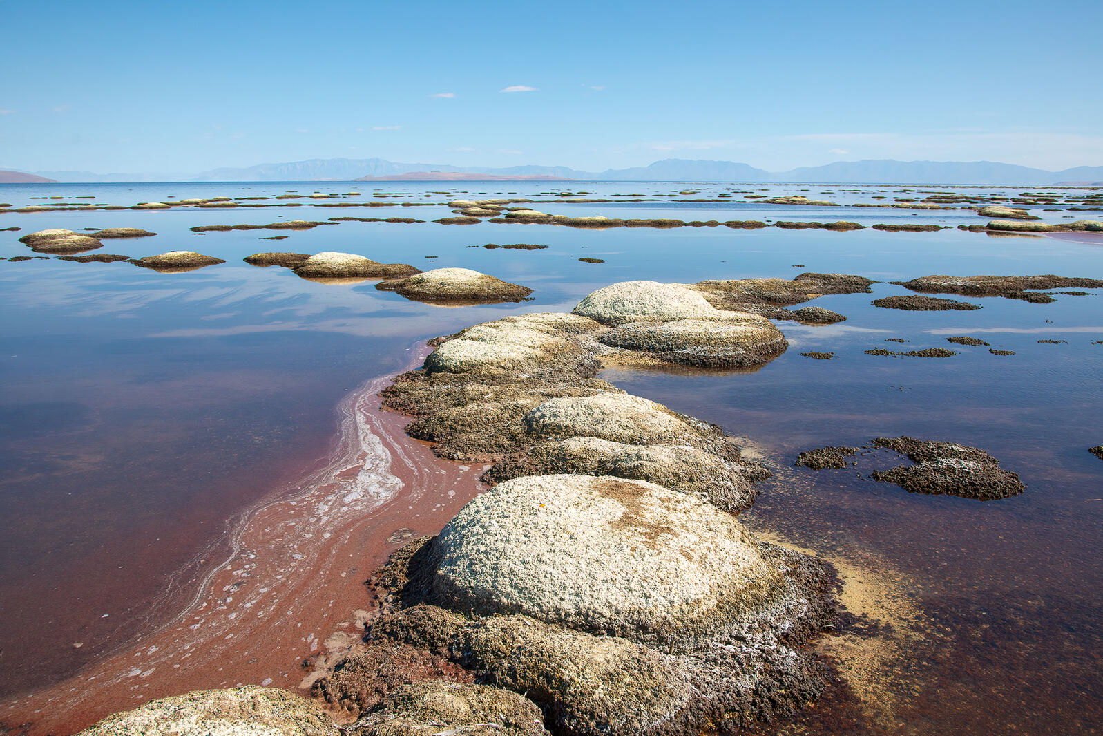 Water Shortages Are Shrinking Great Salt Lake And Killing Off Its Corals Audubon