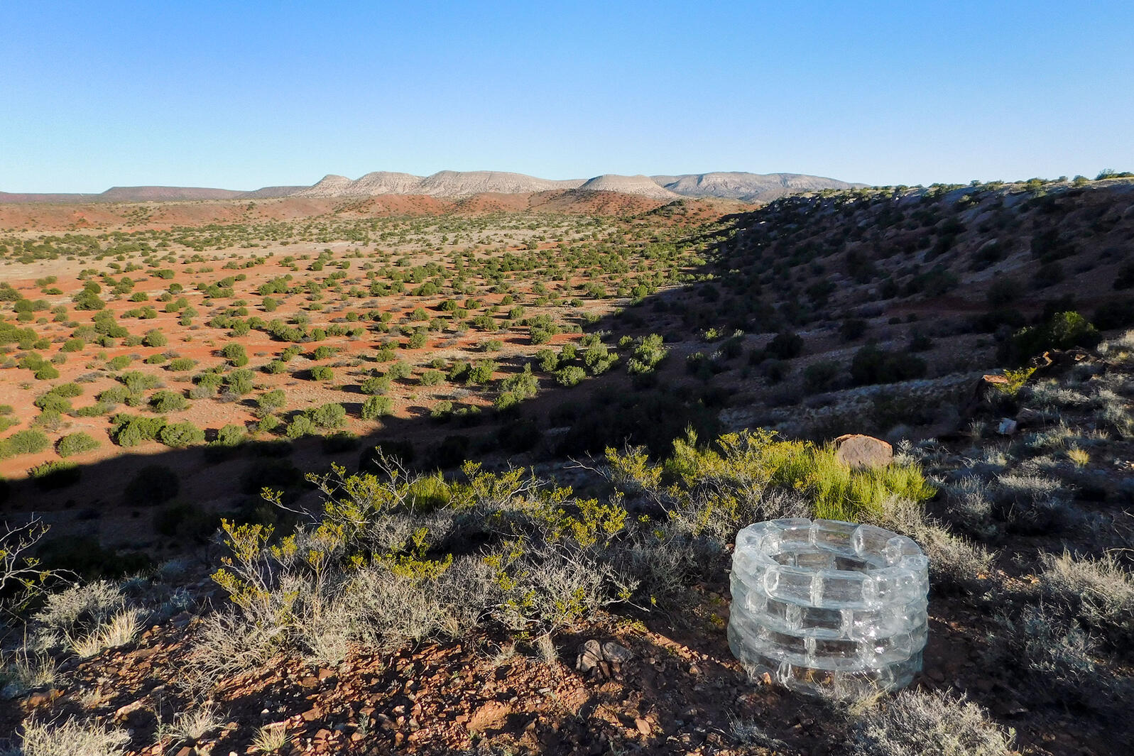 Glistening Glass Sculptures in the Desert Explore Bird Molt and Gender ...