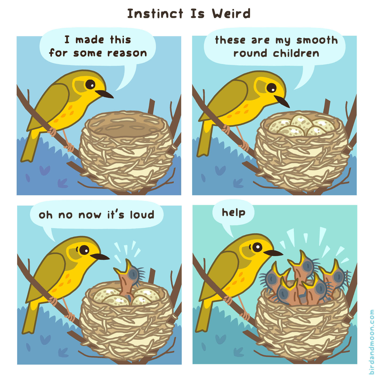 How to Make a Comic About Birds Audubon How to Make a Comic About Birds Audubon