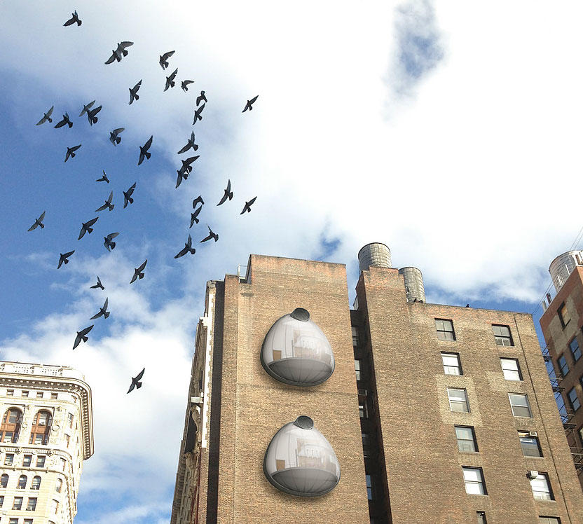 Live Like a Bird in This NestInspired Apartment Audubon