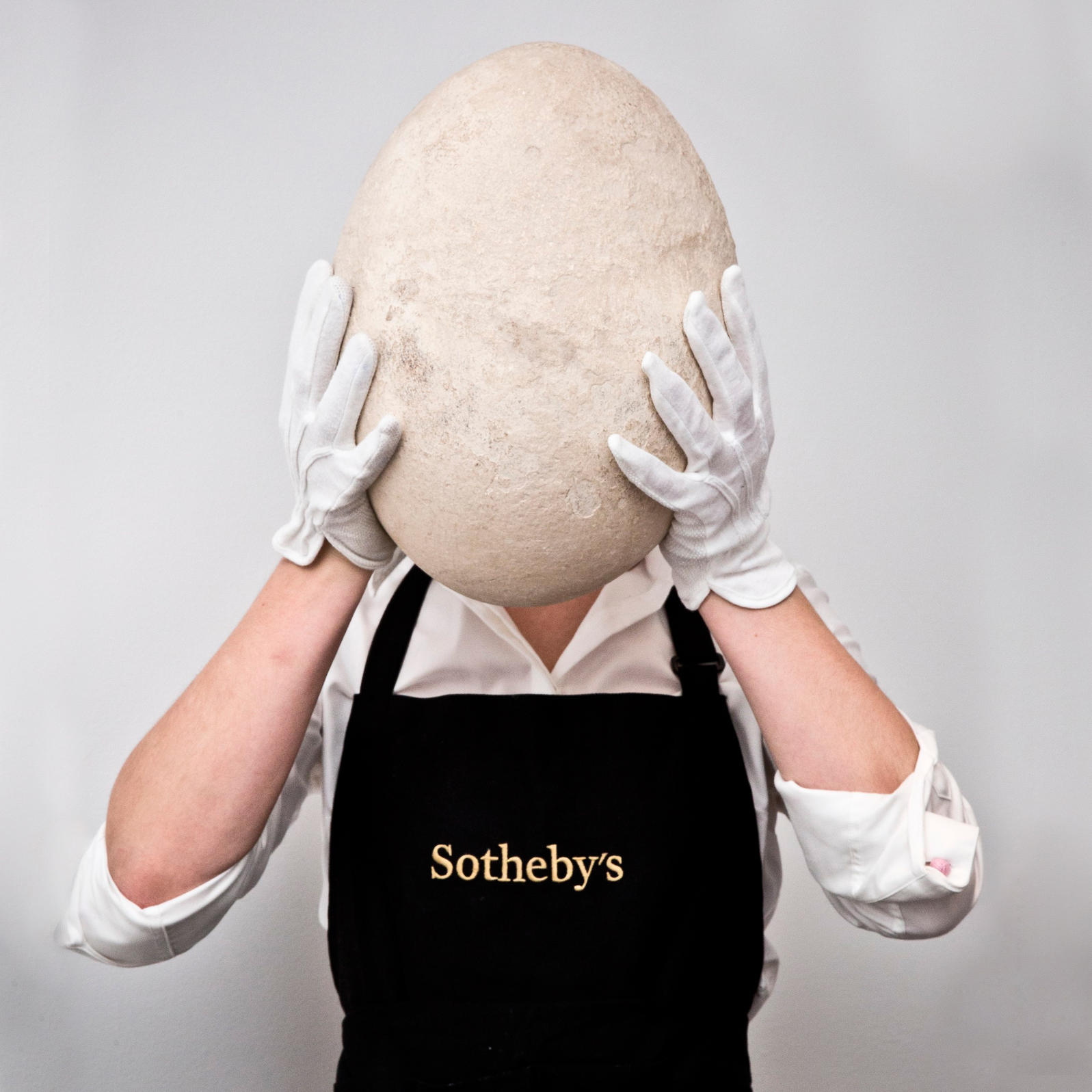 Extremely Rare Elephant Egg Doesn T Sell Audubon