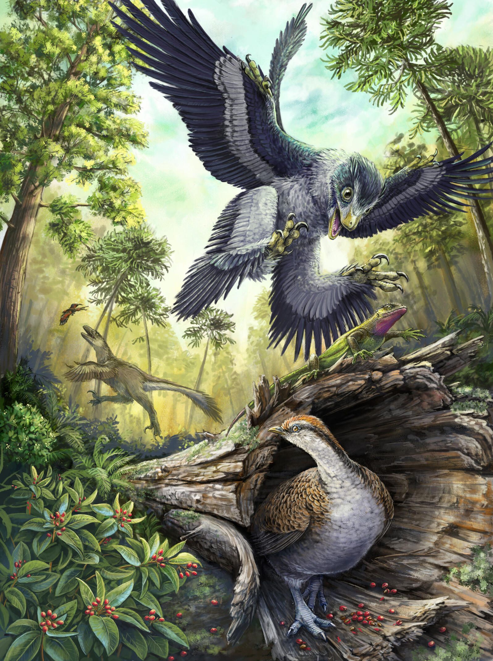 How Did Bird Ancestors Survive The Apocalypse Audubon