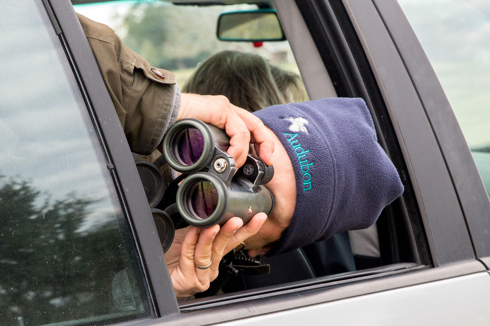 Cool! Subaru Is Adding eBird as an Available InCar App Audubon