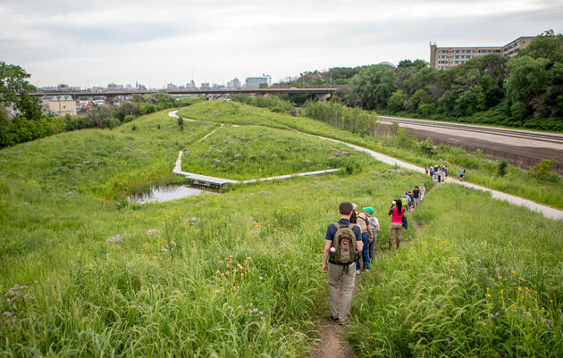 Birders hike through a park in Milwaukee, Wisconsin. Camilla Cerea/Audubon