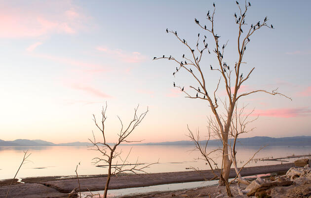 Salton Sea