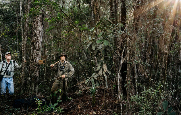 Tim Gallagher (left) and Martjan Lammertink on their Ivory-bill quest. Some believe that if the phantom bird still exists, it would mostly likely be here, in the rugged mountain of eastern Cuba. Greg Kahn