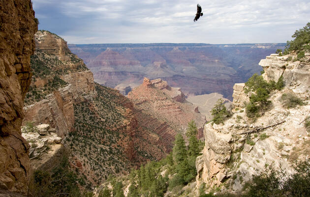 A Bipartisan Deal Could Save a Key Conservation Program About to Expire