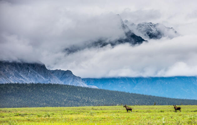 Arctic National Wildlife Refuge, Alaska. Alexis Bonogofsky for USFWS