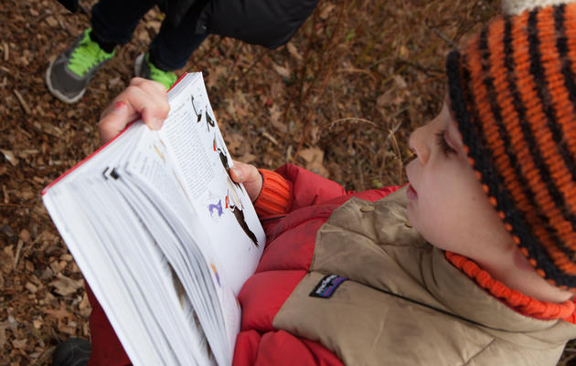 CBC_Bibliography_Camilla_Cerea