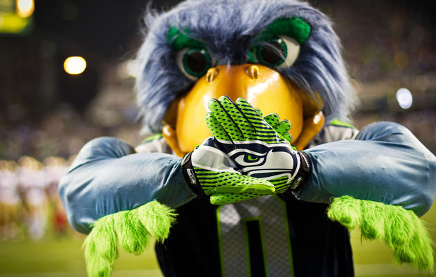 What Is a Seahawk, Anyway?