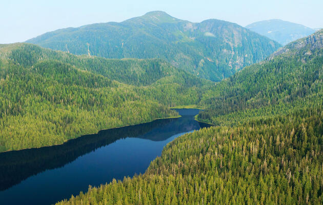 Bosque nacional Tongass
