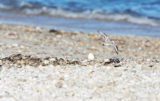 Estrecho de Long Island