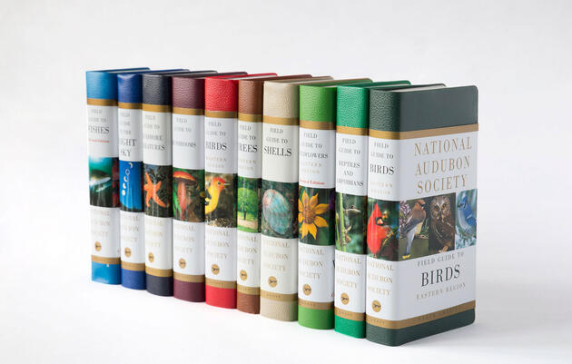 National Audubon Society Field Guides