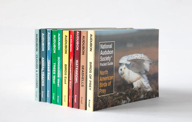 Audubon Pocket Guides