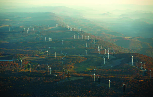 Putting Wind Turbines Out of Wildlife's Way