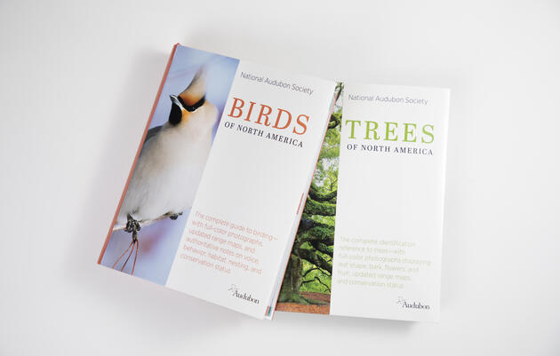 National Audubon Society Field Guides