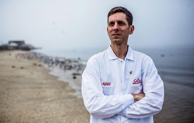 Inside the Biomedical Revolution to Save Horseshoe Crabs and the Shorebirds That Need Them