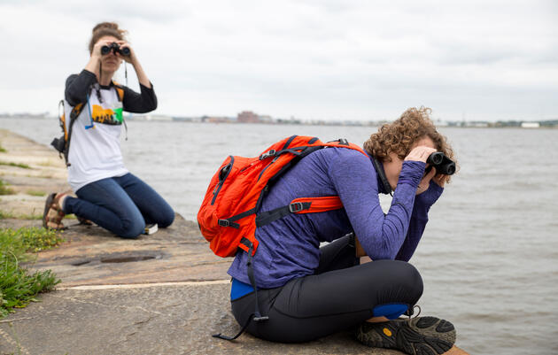 Birdist Rule #89: Try Standing Still to See More Birds